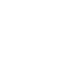 A secure key icon
