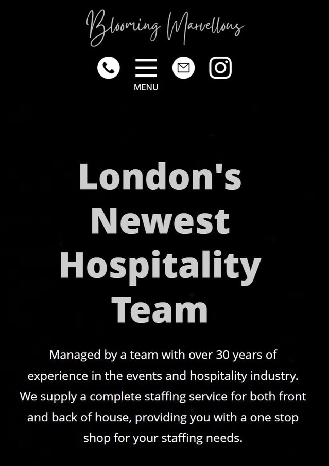 A responsive website design on mobile for staffing in London