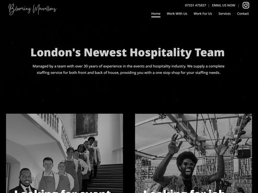 Website design by it'seeze Wimbledon